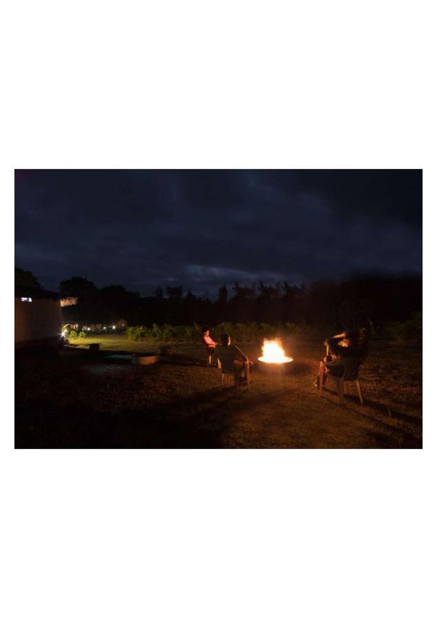 The Horse & Chariot Hotel Madikeri Luaran gambar