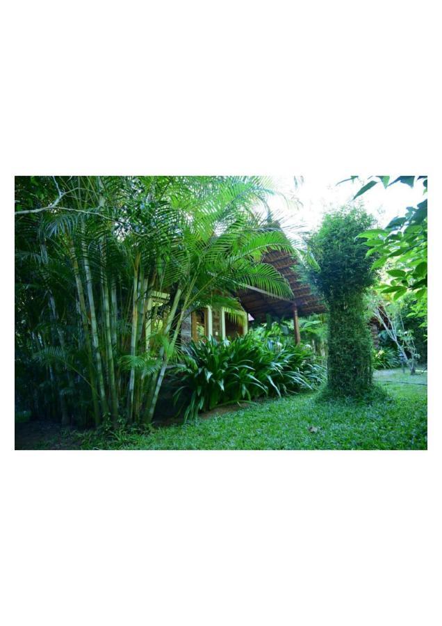 The Horse & Chariot Hotel Madikeri Luaran gambar